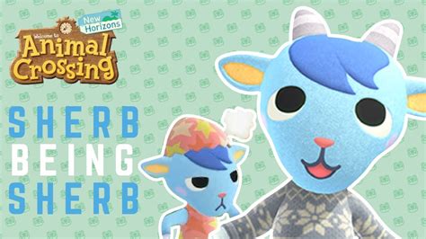 Sherb Being Sherb Animal Crossing New Horizons Youtube