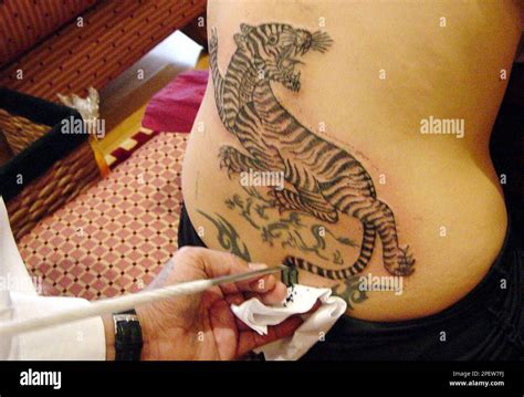 Update Angelina Jolie Back Tattoo Tiger Latest Vova Edu Vn