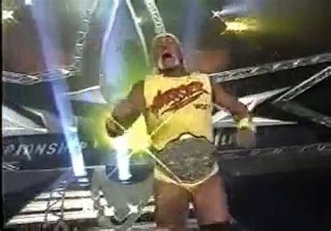 Goldberg Hulk Hogan Sting Vs Kevin Nash Sid Vicious Ric Steiner