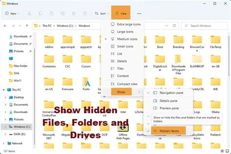 how to show hidden files and folders in windows 11 10