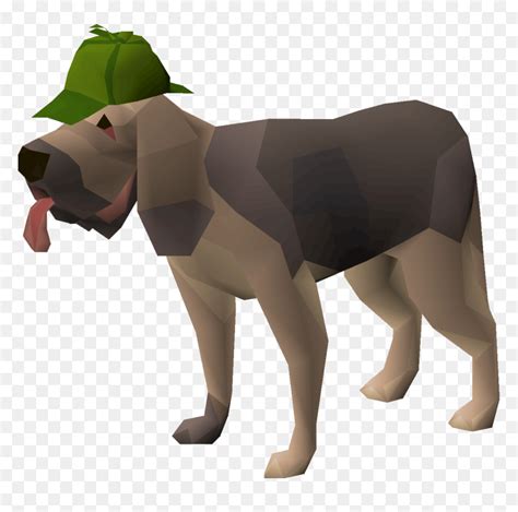 Osrs Master Clue Pet Hd Png Download 1200x1133 Png Dlfpt