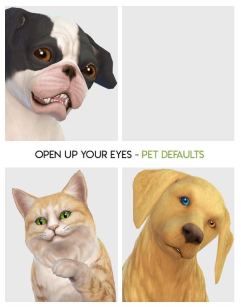 Pet Eye Default Replacements For The Sims 4 Spring4sims Sims 4 Pets