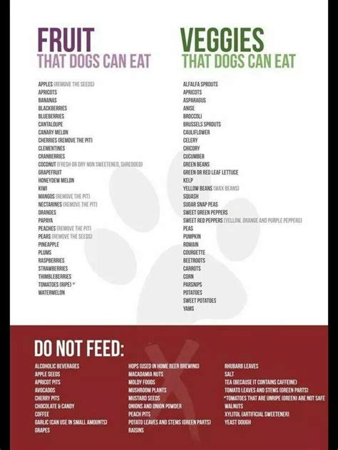 Jan 17, 2021 · my 5 year old son takes an extremely long time to eat, and i noticed he chews his food for a long period of time and then takes a long time in between bites. Dogs can and cannot eat list | My Mastiff | Pinterest | Dogs