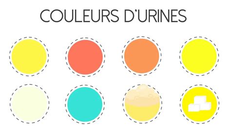 Ce Que La Couleur De Votre Urine Révèle Sur Votre Santé