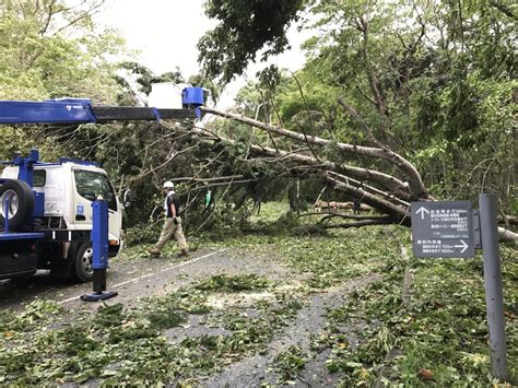 韓国台風被害 台風１８号 平成２８年度 釜山 商店街水没 プサン海雲台区にある商店街が水没被害をうける. 台風21号による被害に関するおしらせ | 北海道博物館