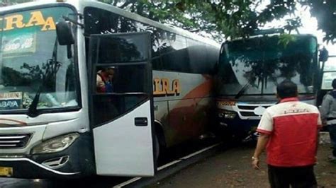 Kecelakaan ini mengakibatkan 29 orang, termasuk sopir dan kernet bus meninggal dunia. Kernet Bus Mira Meninggal Usai Berkelahi dengan Sopir Bus Sugeng Rahayu, 'Kayak Ada Dendam ...