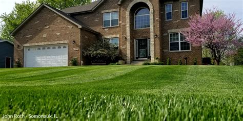 Check spelling or type a new query. Lawn Renovation | Milorganite