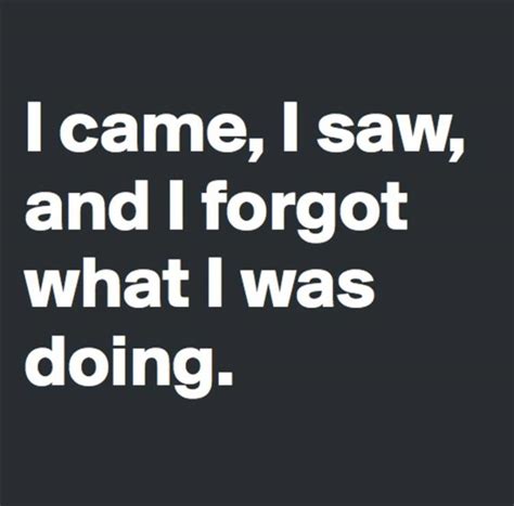 Monday quotes | best funny,good morning,motivational quotes. Tuesday Morning Funny Picture Dump 33 Pics