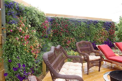 21 Attractive Yet Inexpensive Diy Garden Privacy Ideas