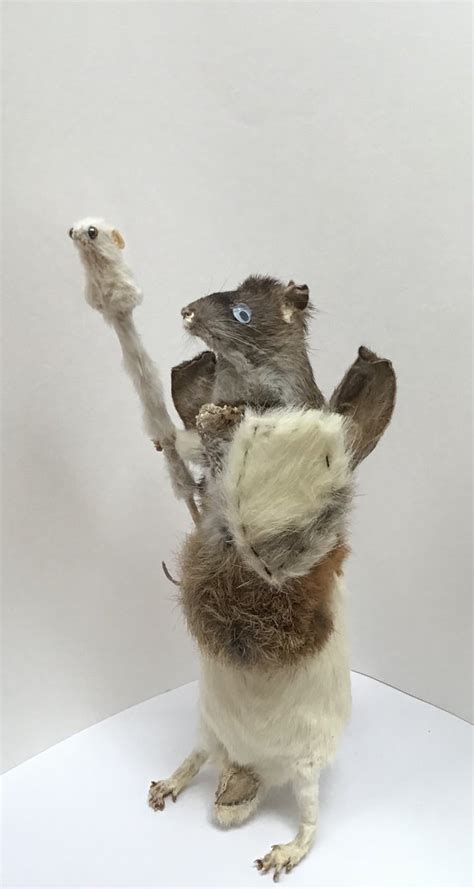 Wizard Student Taxidermy Mice Art And Collectibles Art Dolls