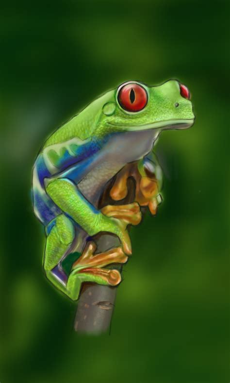Frog Amphibian On Behance