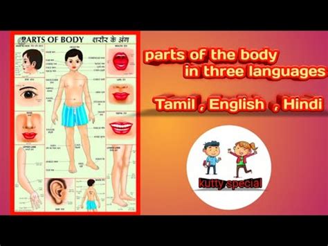 तामिल और इंग्लिश में शरीर के अंगों का नाम, name of body parts in tamil to english & hindi language with images / pictures. Body Parts Tamil / Pin on Edu Extra Key - The body and the ...