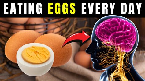 Eat Eggs Every Day And See What Happens To Your Body 7 Science Backed