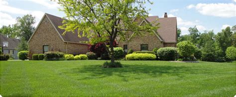 Information for applicant a merit badge application can be approved only by a registered merit badge counselor. Watering after a Lawn Care Application | TurfGator