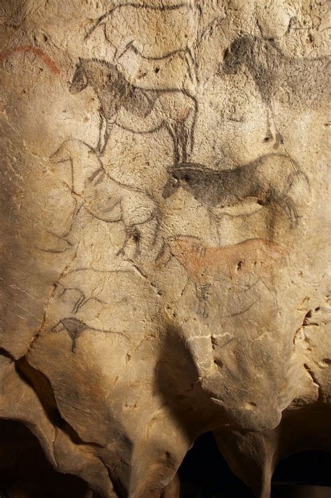 Cueva De Ekain Ekainberri Guipúzcoa Hace Más De 13000 Años Los