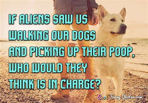 If Aliens Saw Us Walking Our Dogs And Picking Up Their