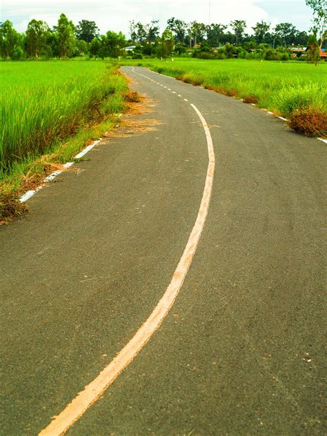 Road In Rural Area Farm Free Stock Photo Public Domain Pictures
