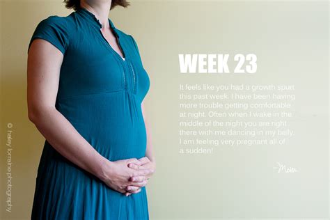 23 Weeks Pregnancy Series Haley Lorraine Photography