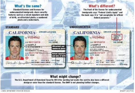 Immigration Dmv Revving Up For Drivers Licenses Press Enterprise