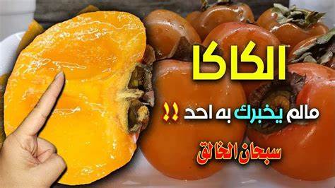 هل اكل فاكهة الكاكا حلال ام حرام؟