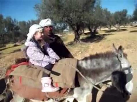 Here's where you'll find them. donkey and camel ride in tunisia - YouTube