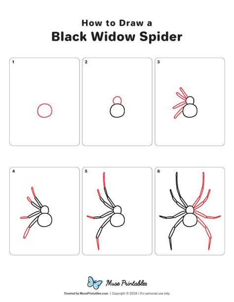 Learn How To Draw A Black Widow Spider Step By Step Download A