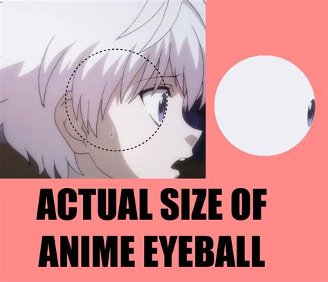 Actual Size Of Anime Eyeballs Rmemes