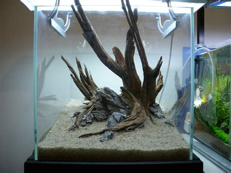 Full step by step planted tank guide) this is my ikebana. 40cm cube nature aquarium | Nature aquarium, Aquarium ...