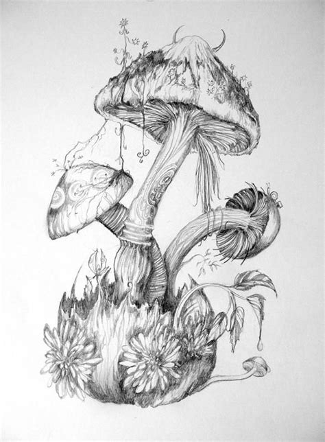 Mushrooms By 6vladimira6 Mushroom Art Fairy Drawings Mushroom Drawing