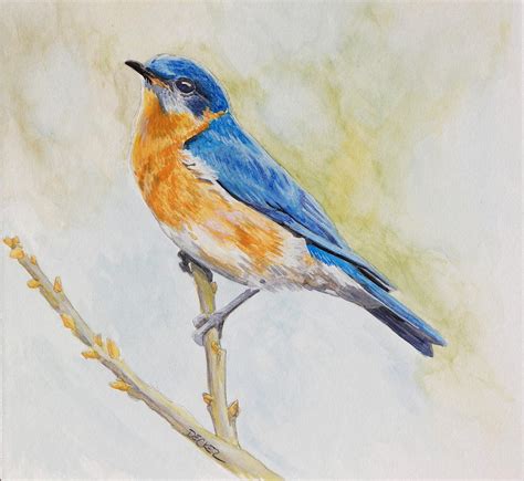 Eastern Mountain Bluebird Painting By Robert Decker Fine Art America