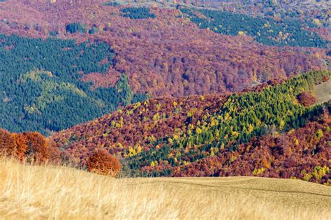 Mountain Autumn Landscape With Colorful Forest Horizontal Panoramic