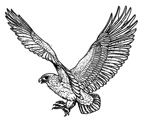 $2.99 - Clear Stamp (2.5X3) Hawk In Flight Flonz Vintage Unmounted Acrylic #ebay #Home