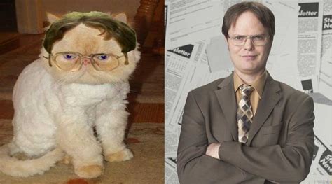 Cats Who Totally Look Like Famous Tv Characters