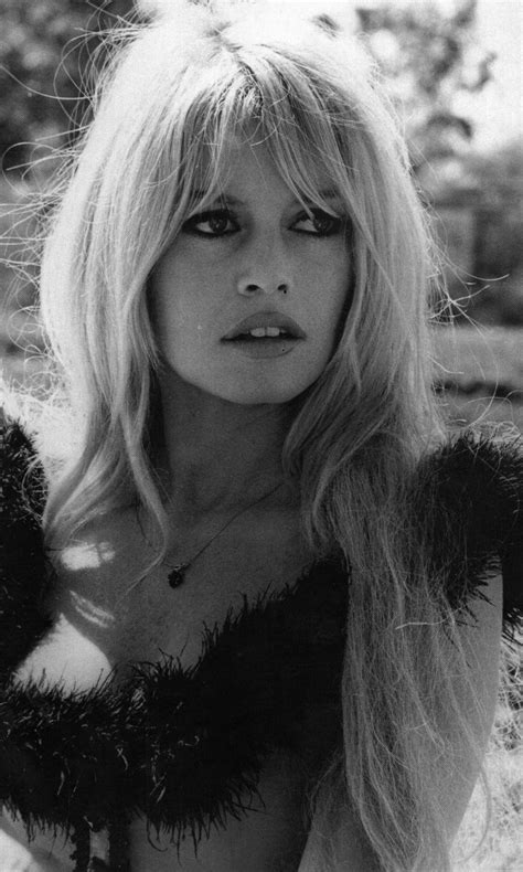 Brigitte Bardot Beauty Collection Bardot Hair Brigitte Bardot Hair
