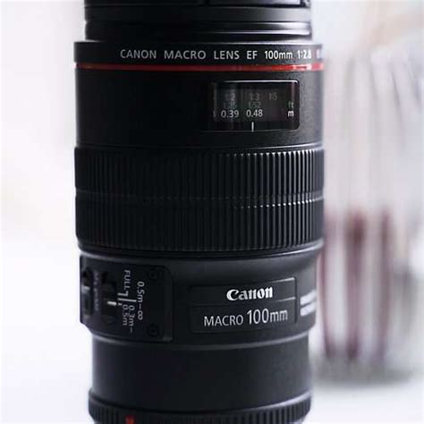 Canon 100mm Macro Lens Review Lyanneart Pros And Cons