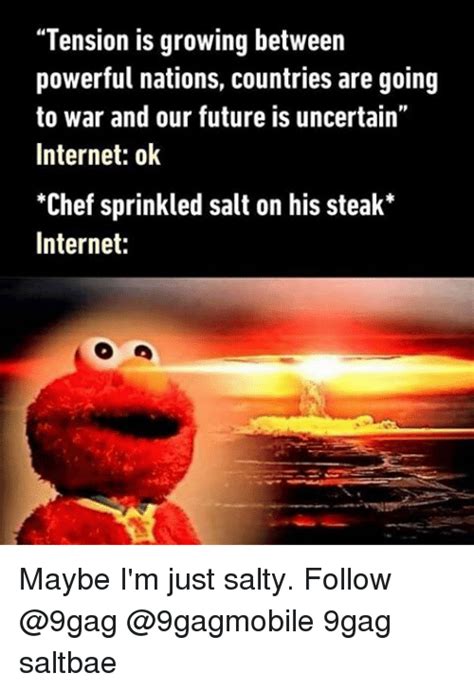 25 Best Sprinkle Salt Memes Chef Sprinkling Salt Memes Chefs Memes