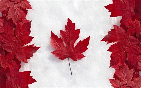 The Canadian Flag Wallpapers Top Free The Canadian Flag Backgrounds
