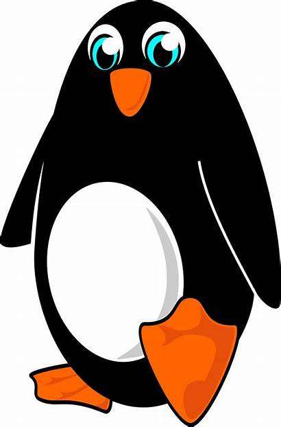 Penguin Clipart Cartoon Cliparts Clipartmag Graphic Creazilla