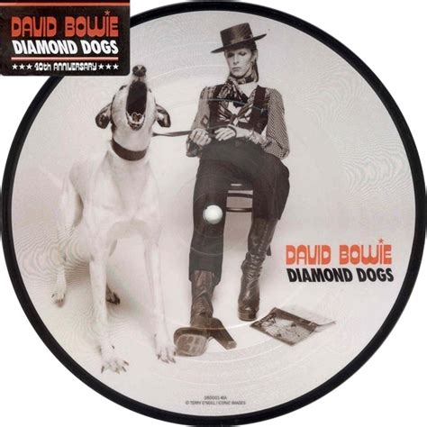 David Bowie Diamond Dogs Limited Edition Picture Disc 7 Vinyl For