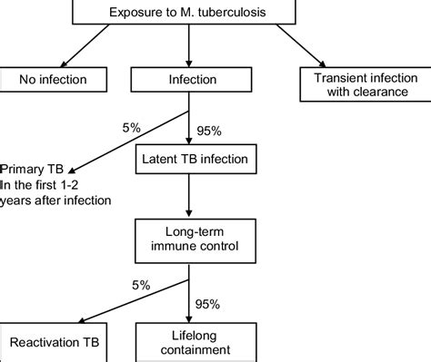 Pathogenesis Of Mycobacterium Tuberculosis Infection Download