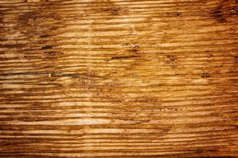 Oak Wood Texture Detailed Old Oak Texture As Natural Wood Background Images