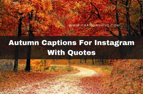 240 Best Autumn Captions For Instagram With Quotes In 2024