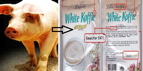 Sign in to check out what your friends, family & interests have been capturing & sharing around the world. Luwak White Koffie Menggunakan Emulsifier E471 Daripada ...