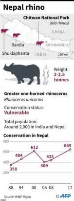 Rare One Horned Rhino Killed By Poachers In Nepal Daily Mail Online