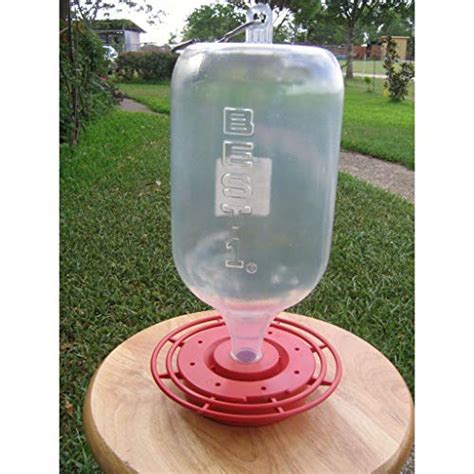 Best 1 Hummingbird Feeder For 2023 Top 12 Picks And Detailed Guide To Follow