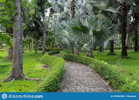 Cobblestone Walking Path In A Tropical Park Stock Image Image Of