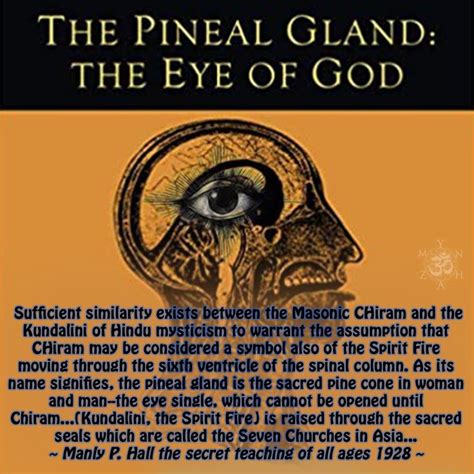 Pineal Glandkundalinigodthird Eye Pineal Gland Gland Kundalini