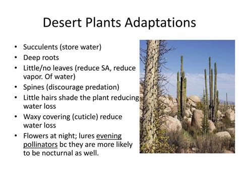 Ppt Ecological Adaptations Of Plants And Animals Powerpoint