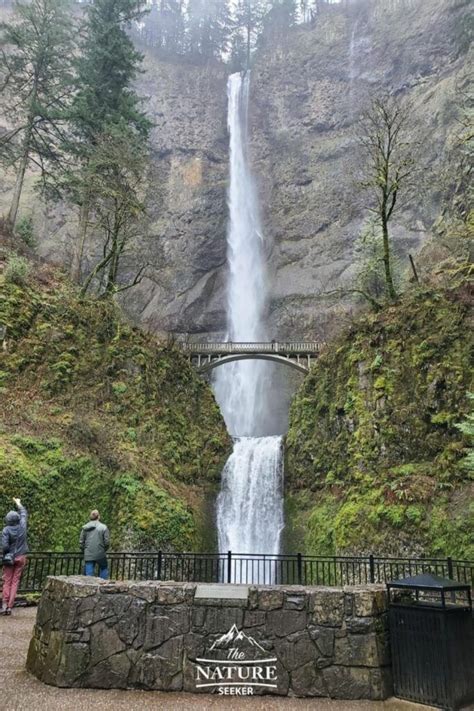 10 Best Things To Do In Columbia River Gorge Oregon