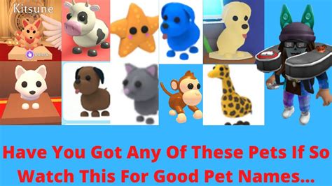 Adopt Me Pet Names Ideas Youtube